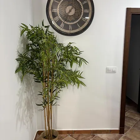 Apartment Jiguera *